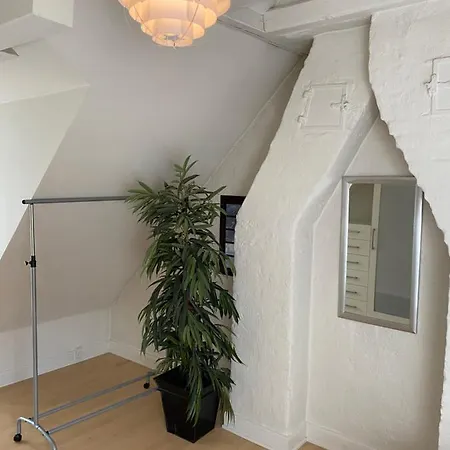 Bright In Historic City Center Apartment Copenhagen